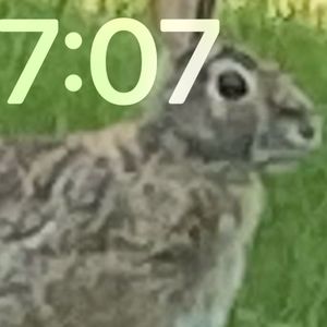 Meet your Posher, Mallorie